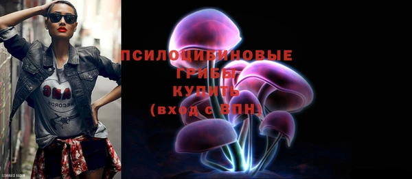 соль ск Алзамай