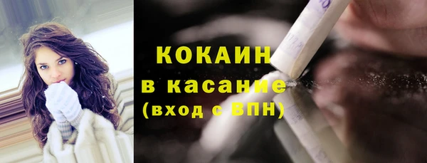 соль ск Алзамай